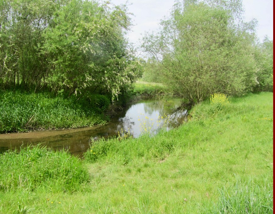 abshoven09.jpg