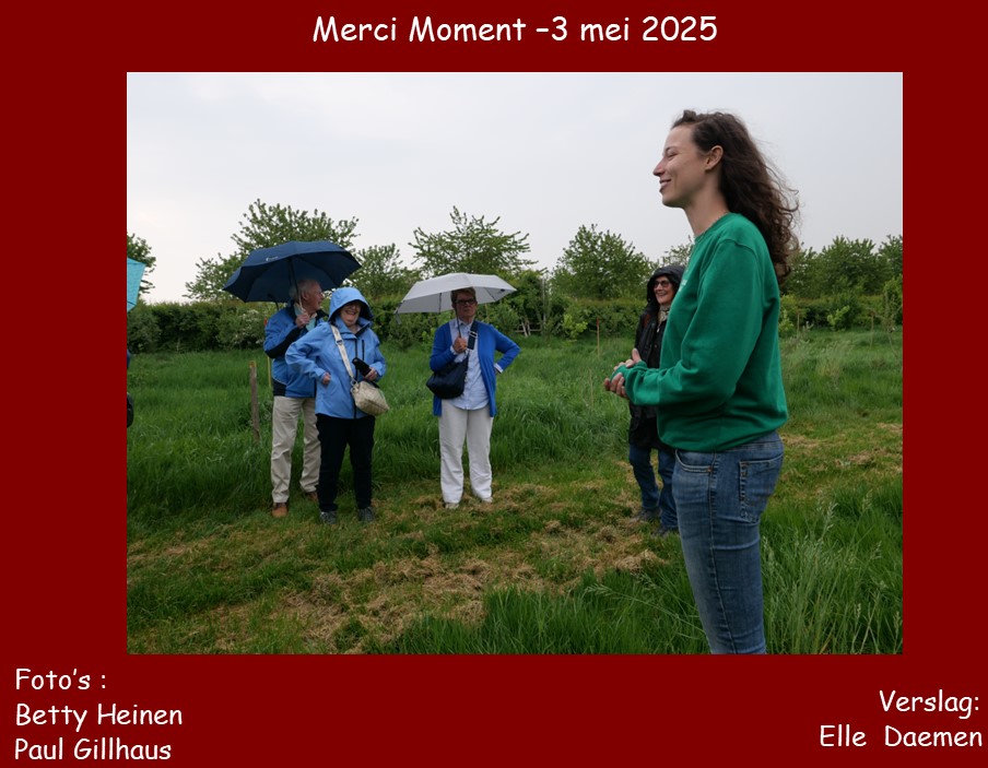 mercimoment01.jpg
