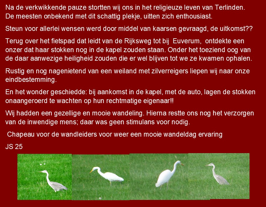 reijmerstok04.jpg