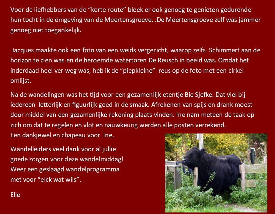 vilt03.jpg