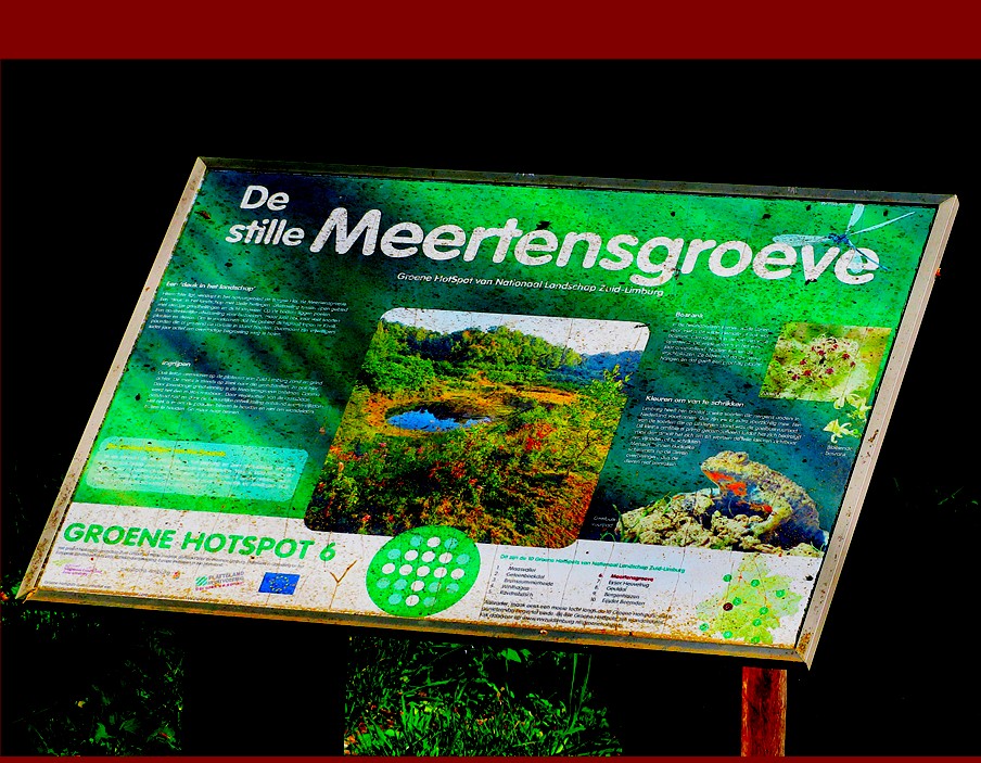vilt05.jpg