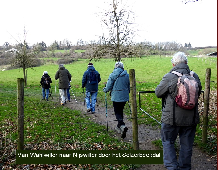 wahlwiller06.jpg